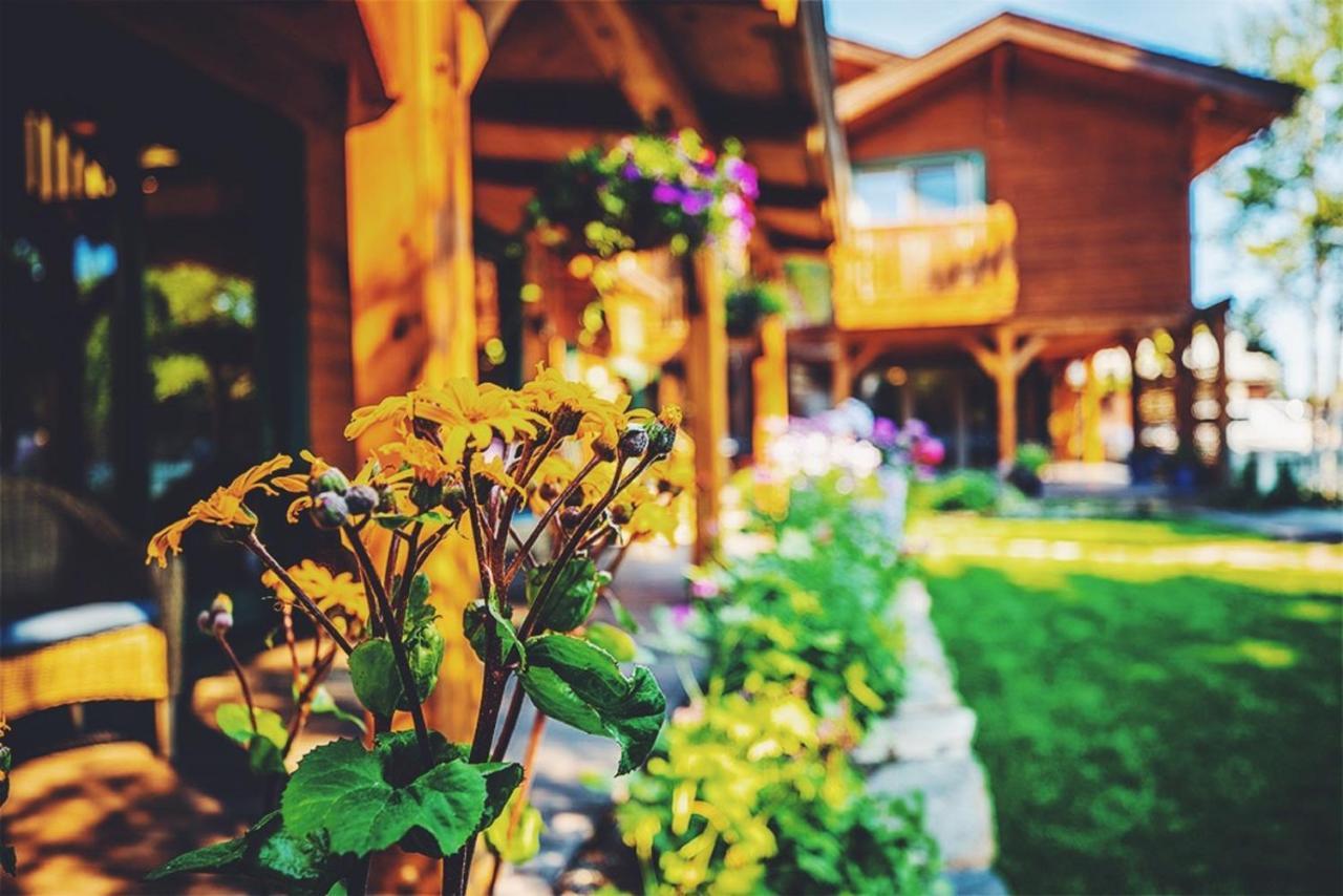Вілла The Alpine House Джексон Екстер'єр фото